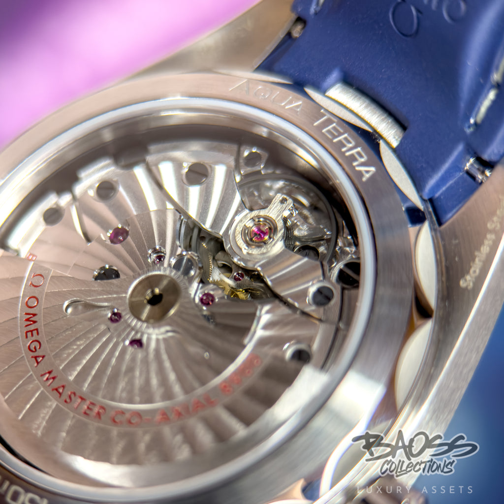 Omega Seamaster Aqua Terra 220.12.41.21.06.001
